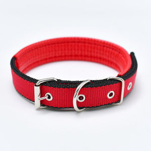 Walk Me Nylon Flat Dog Collar