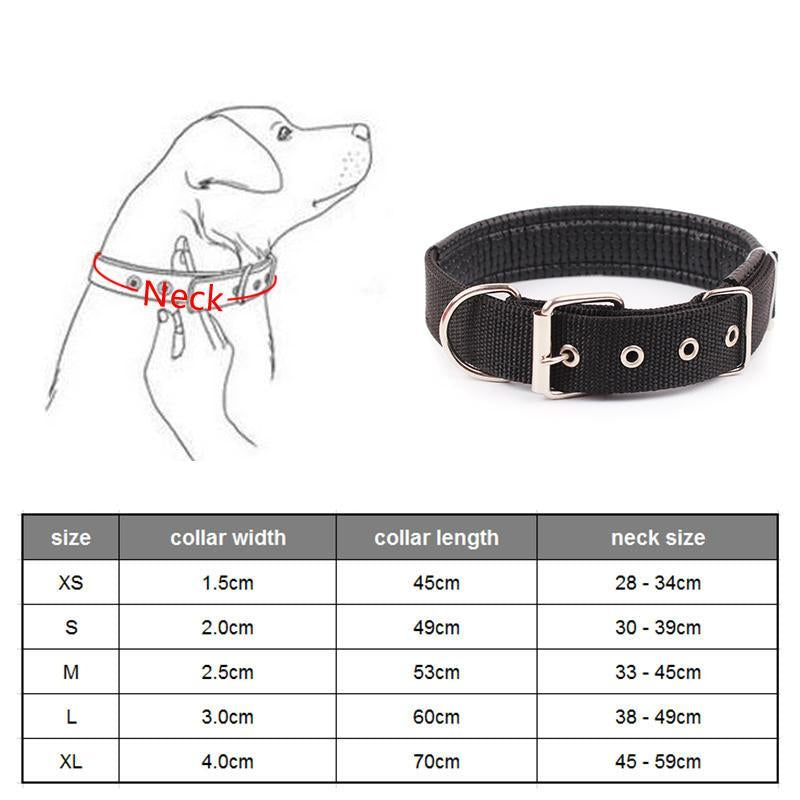 Walk Me Nylon Flat Dog Collar