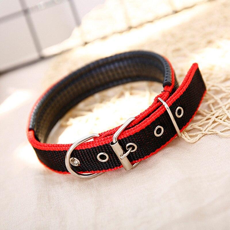 Walk Me Nylon Flat Dog Collar