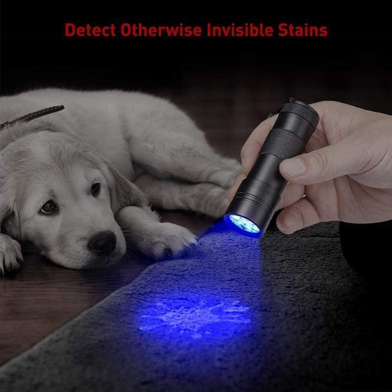 Mini Uv Blacklight Flashlight 12 Led Lights Portable Torch