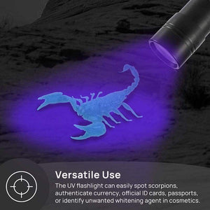 Mini Uv Blacklight Flashlight 12 Led Lights Portable Torch