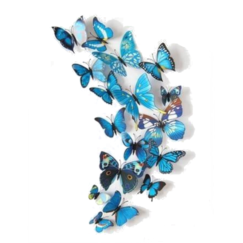 Hod Health And Home 12 Pcs / Set Rainbow Colourful 3D Pvc Butterfly Wall Sticker Decor