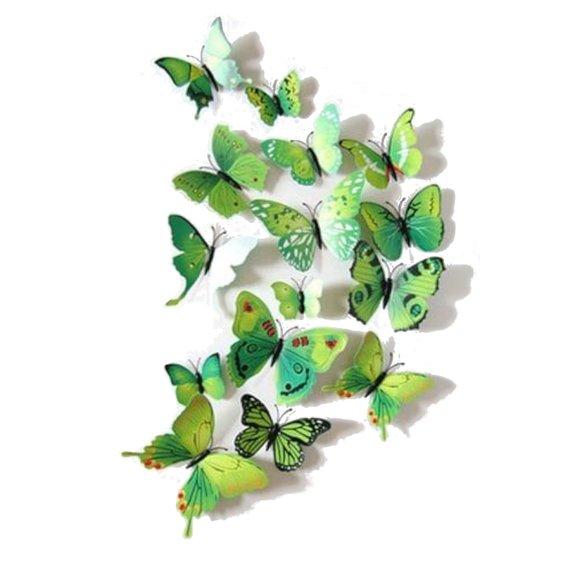 Hod Health And Home 12 Pcs / Set Rainbow Colourful 3D Pvc Butterfly Wall Sticker Decor