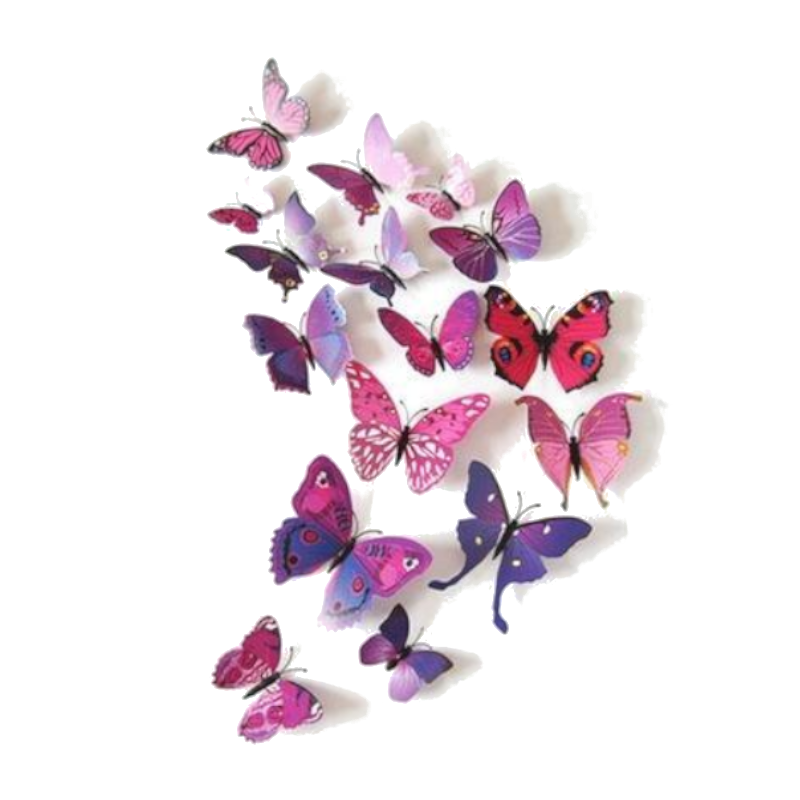 Hod Health And Home 12 Pcs / Set Rainbow Colourful 3D Pvc Butterfly Wall Sticker Decor