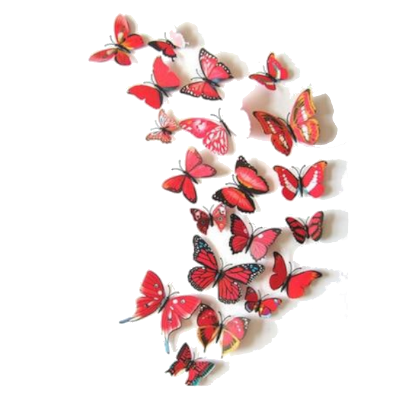 Hod Health And Home 12 Pcs / Set Rainbow Colourful 3D Pvc Butterfly Wall Sticker Decor