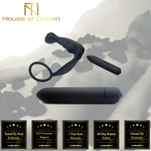 House Of Dasein Cock Ring Vibrating Anal Plug Prostate Massager Bullet Vibrator 10 Modes Men