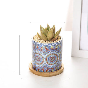 Cute Mini Mandala Succulent Nordic Colour Pot