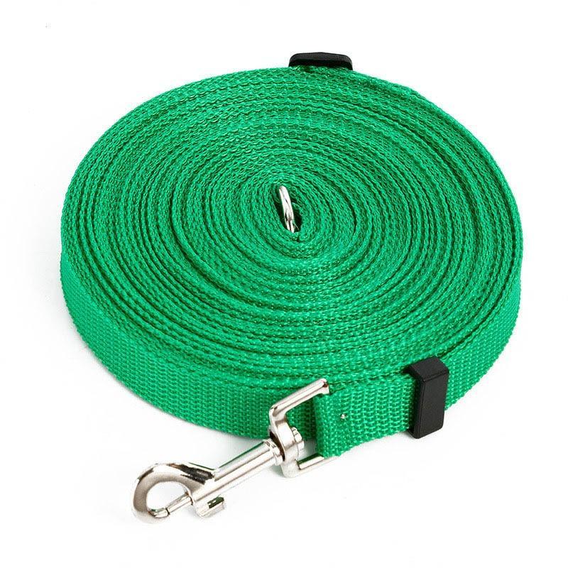 Light Nylon Dog Leash