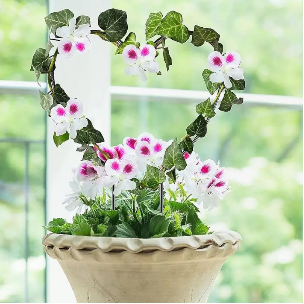 Round Heart-Shaped Plant Support Garden Stake Stand Flower Trellis Frame Holder