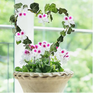 Round Heart-Shaped Plant Support Garden Stake Stand Flower Trellis Frame Holder