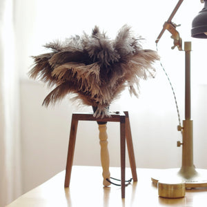 Wooden Handle Feather Duster