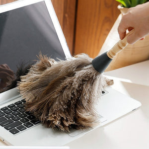 Wooden Handle Feather Duster