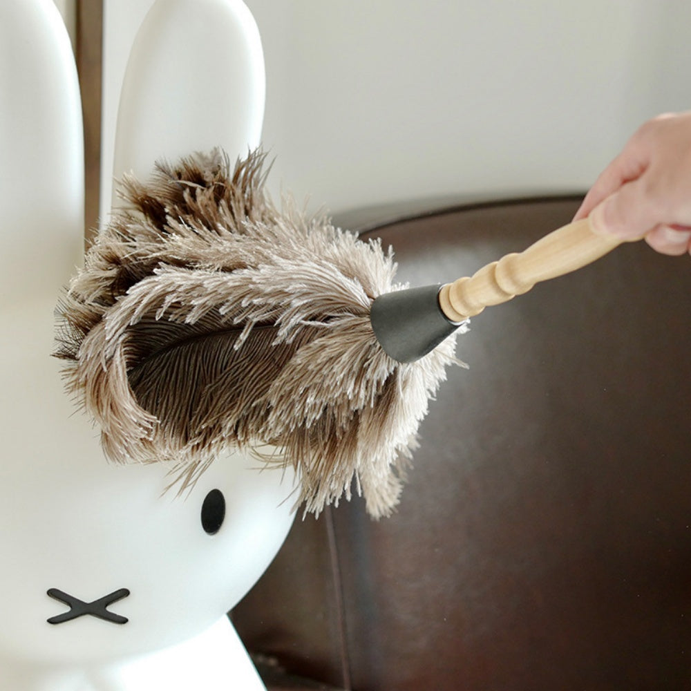 Wooden Handle Feather Duster