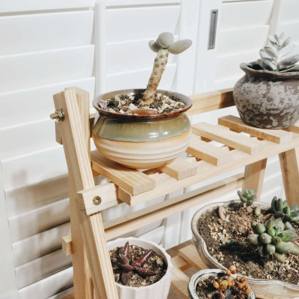 2 Tier Wooden Desktop Storage Shelf