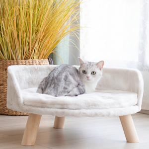 Pet Sofa Bed Raised Cat Chair With Removable Cushion