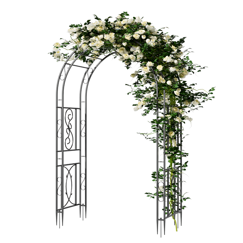 Garden Arches Outdoor Black Metal Arbor For Climbing Plants