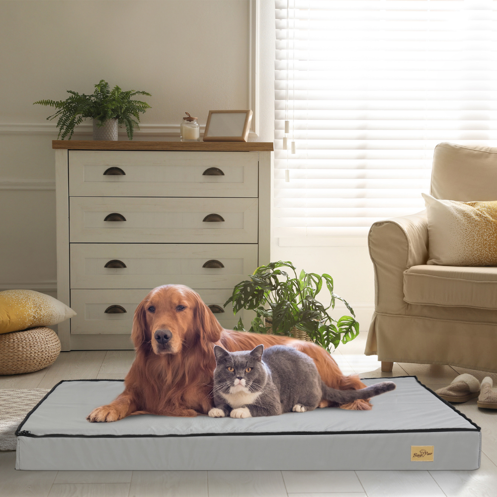 Gray Orthopedic Pet Calming Bed Soft Sponge Foam Base With Removable Cover