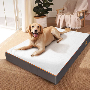 Gray Orthopedic Pet Calming Bed Soft Sponge Foam Base With Removable Cover