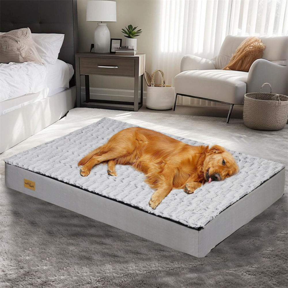 Gray Orthopedic Pet Calming Bed Soft Sponge Foam Base With Removable Cover