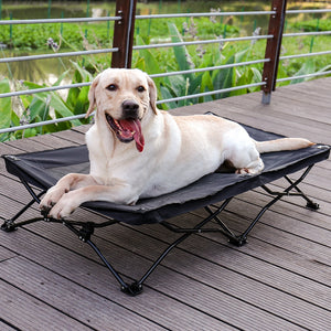 Large Elevated Folding Pet Bed