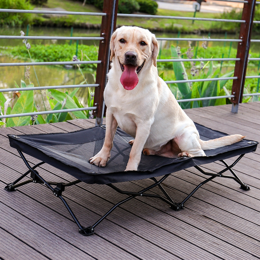 Large Elevated Folding Pet Bed