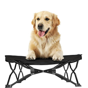 Large Elevated Folding Pet Bed