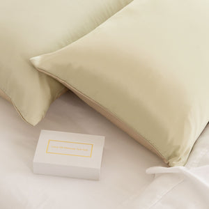 Mulberry Silk Pillow Case Twin Pack Size: 51X76cm Champagne