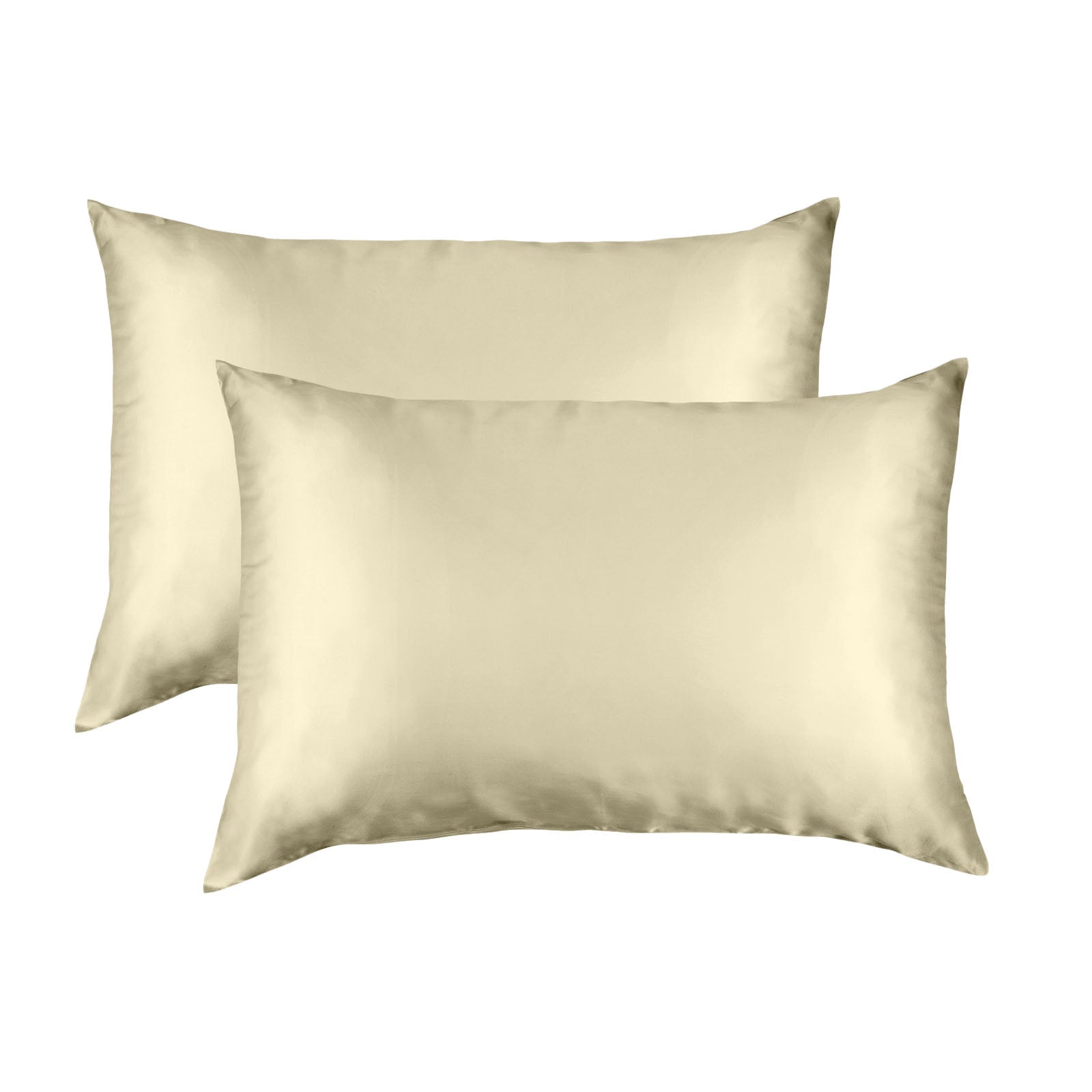 Mulberry Silk Pillow Case Twin Pack Size: 51X76cm Champagne