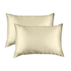 Mulberry Silk Pillow Case Twin Pack Size: 51X76cm Champagne