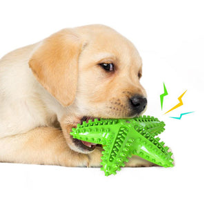 Starfish Dog Chew Toy Pet Supplies Chewing Toothbrush