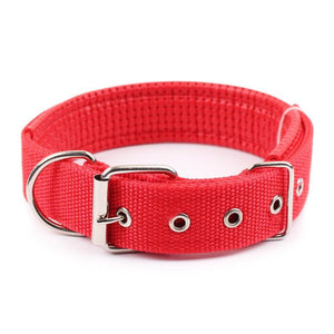 Walk Me Nylon Flat Dog Collar