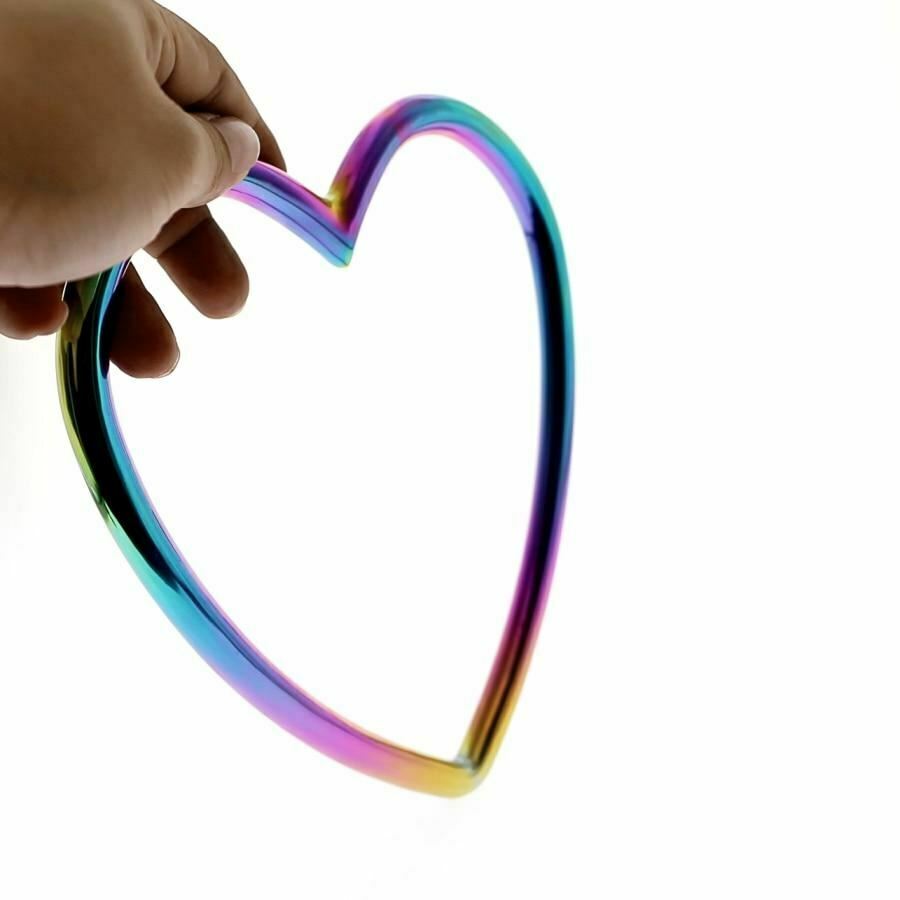 Rainbow Heart Shibari Stainless Steel Bondage Suspension Ring Bdsm