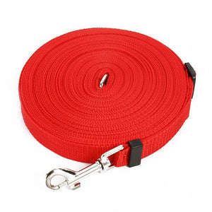 Light Nylon Dog Leash