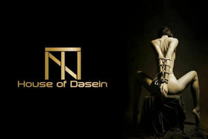 House Of Dasein 4 Pcs / Set Black Bdsm Beginners Starter Kit Heart Paddle Blindfold Cuffs Ball Gag