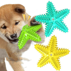 Starfish Dog Chew Toy Pet Supplies Chewing Toothbrush