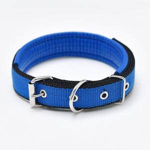 Walk Me Nylon Flat Dog Collar