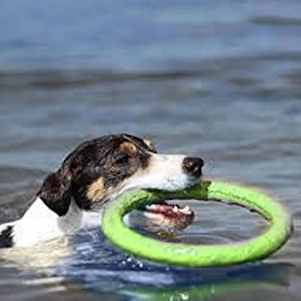 Flying Disc Dog Ring Toy