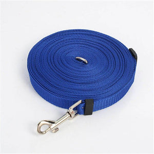 Light Nylon Dog Leash