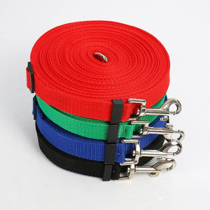 Light Nylon Dog Leash