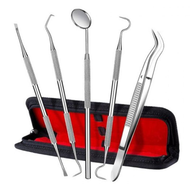 5 In 1 Professional Multifunctional Dental Tools Set Silver