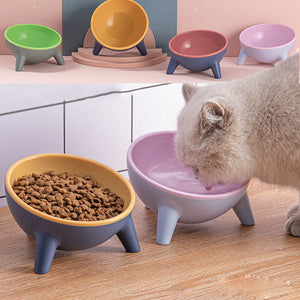 Cat Dog Bowl With Stand Pet Feeding Elevated Dishes