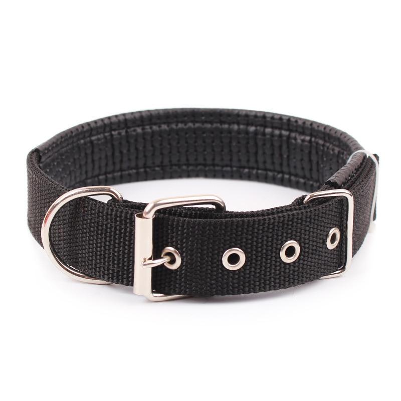 Walk Me Nylon Flat Dog Collar