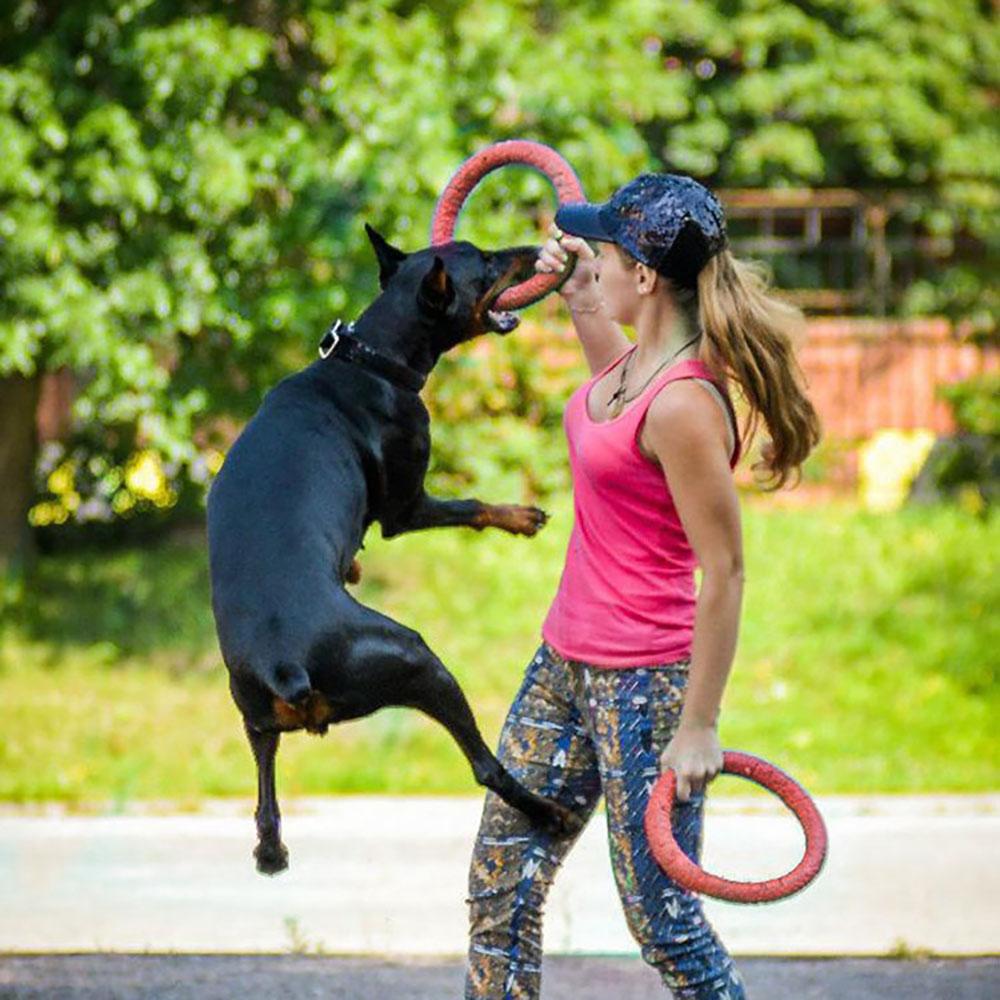 Flying Disc Dog Ring Toy