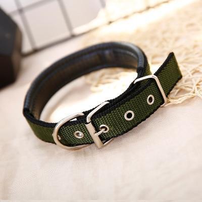 Walk Me Nylon Flat Dog Collar