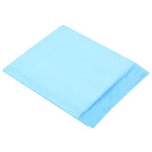 Pet Training Pads 100 Pcs Non Woven Fabric