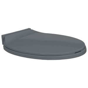 Soft-Close Toilet Seat Grey Oval