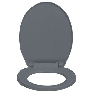 Soft-Close Toilet Seat Grey Oval