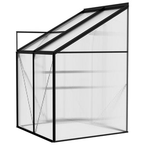 Greenhouse Anthracite Aluminium 2.59 M