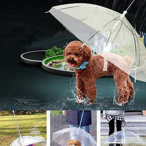 Transparent Pet Umbrella Portable Built In Leash