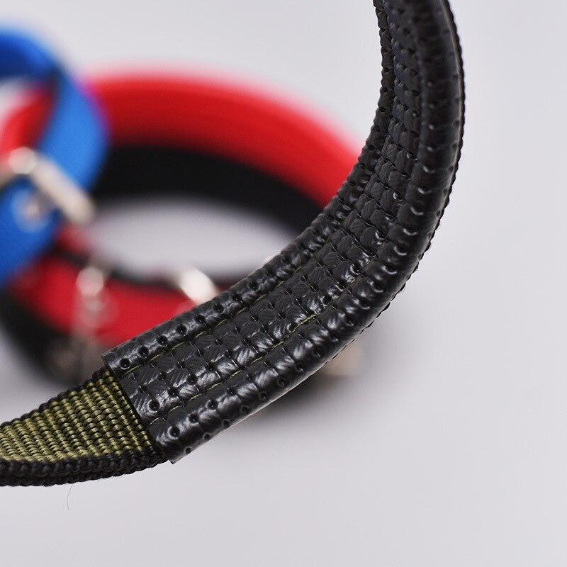 Walk Me Nylon Flat Dog Collar